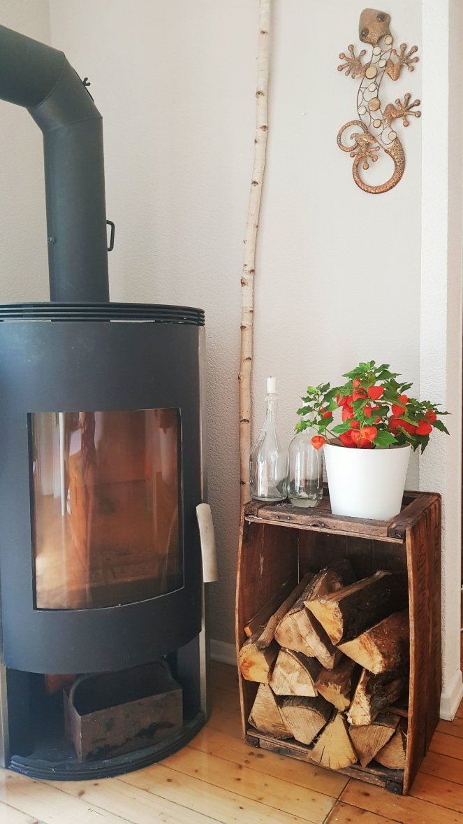 Physalis Pflanze dekorativ Lampion.jpg