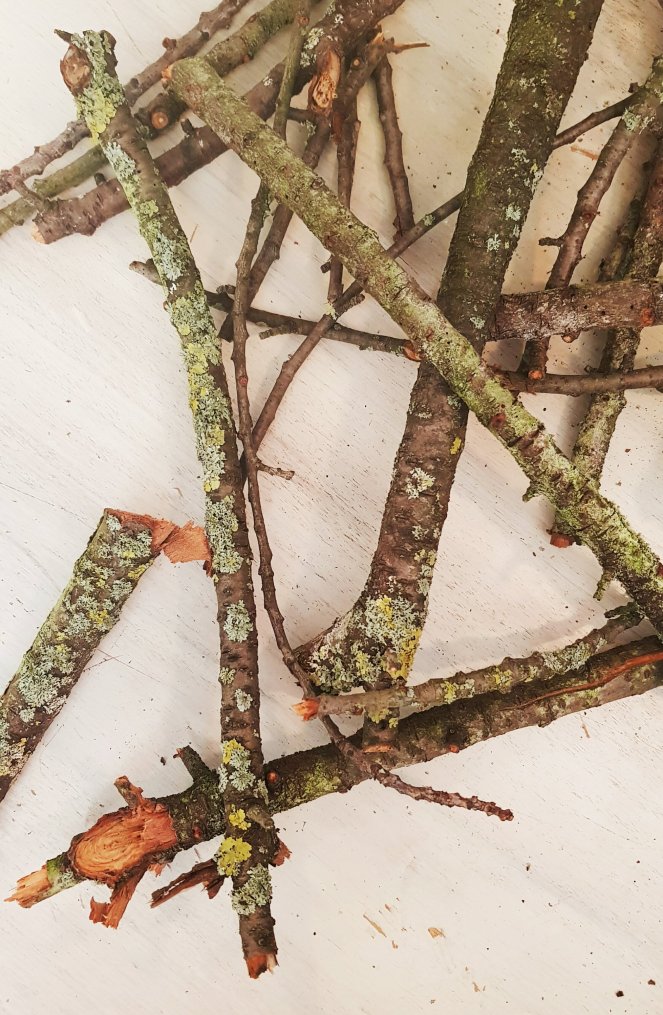 Kirschzweige mit moosiger Patina.jpg