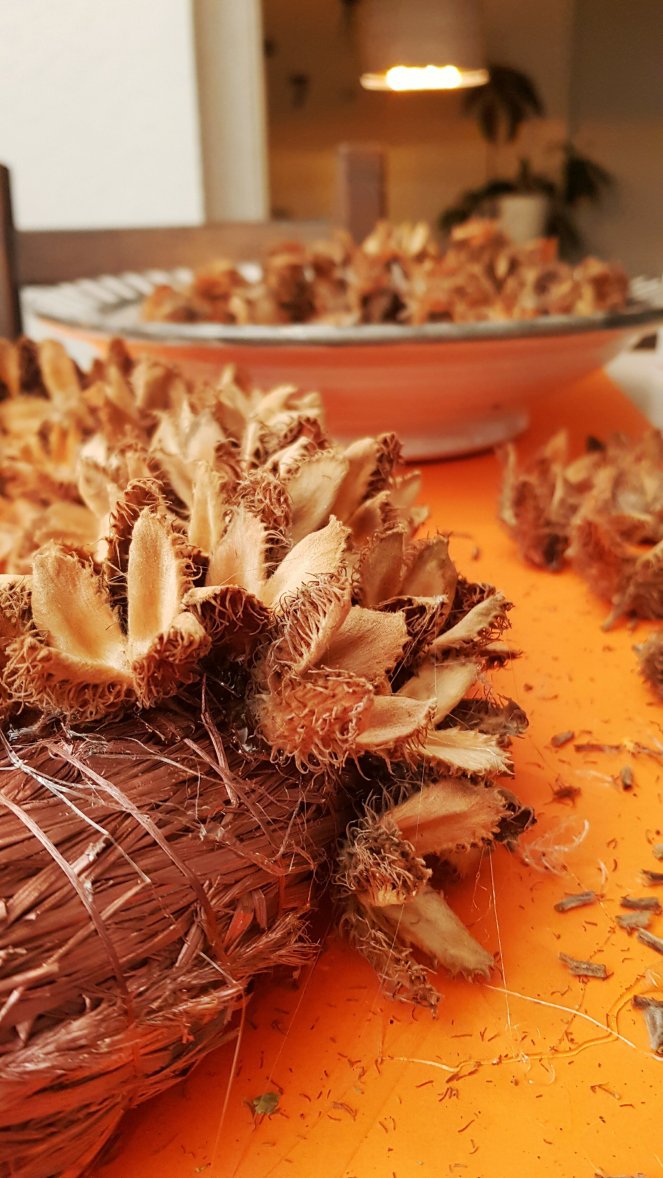 Türkranz Bucheckern DIY