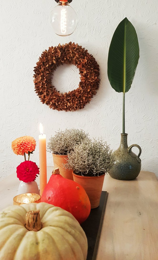 TIschdeko mit Kürbis Stacheldraht und Bucheckern