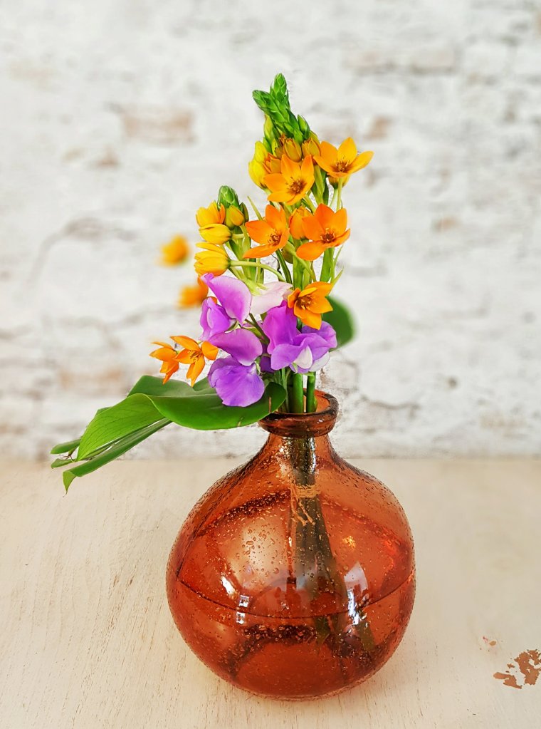 Wicken (Vicia) und Gärtnerschreck oder Milchsterne (Ornithogalum)